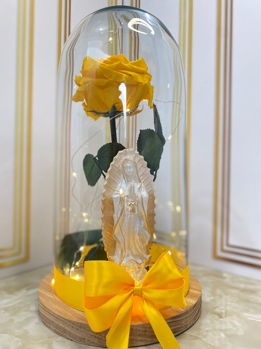 ROSA PRESERVADA ETERNA